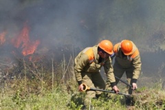 На территории Архангельской области  вновь введен особый противопожарный режим 