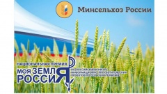 Больше 500 проектов поступило на конкурс «Моя земля - Россия»