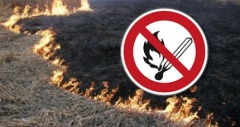 В Архангельской области действует особый противопожарный режим: Помните: пал травы запрещен!