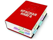 У каждого жителя региона есть возможность поучаствовать в переиздании Красной книги Архангельской области
