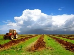 400 миллионов рублей из федерального бюджета получит сельское хозяйство области