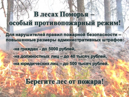 Противопожарный режим нижегородская область. Особый противопожарный режим. Особый противопожарный режим в лесах. Особый противопожарный режим картинки. Баннер особый противопожарный режим.