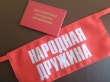 Народная дружина