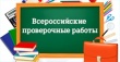 Всероссийские проверочные работы по русскому языку