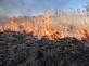 С 28 апреля в лесах Архангельской области  объявили пожароопасный сезон
